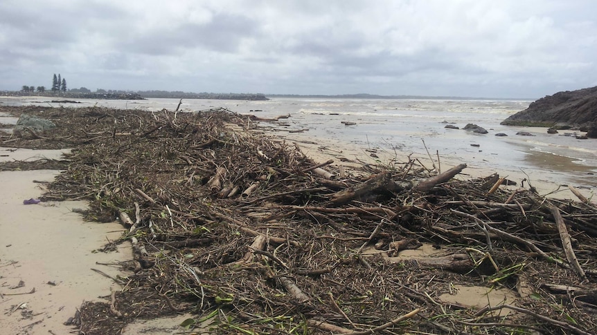 Debris on Port Macquarie Town Beach