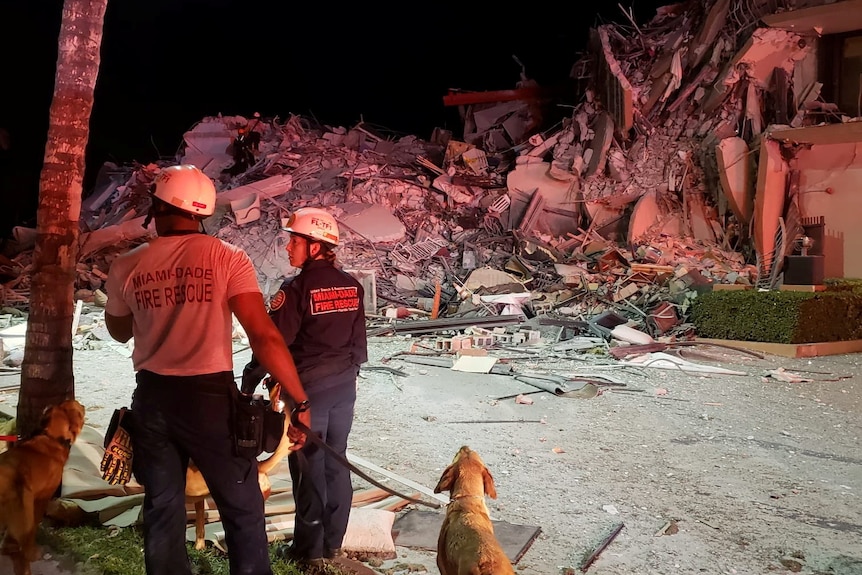 Rescue officers with dogs and rubble in the background.