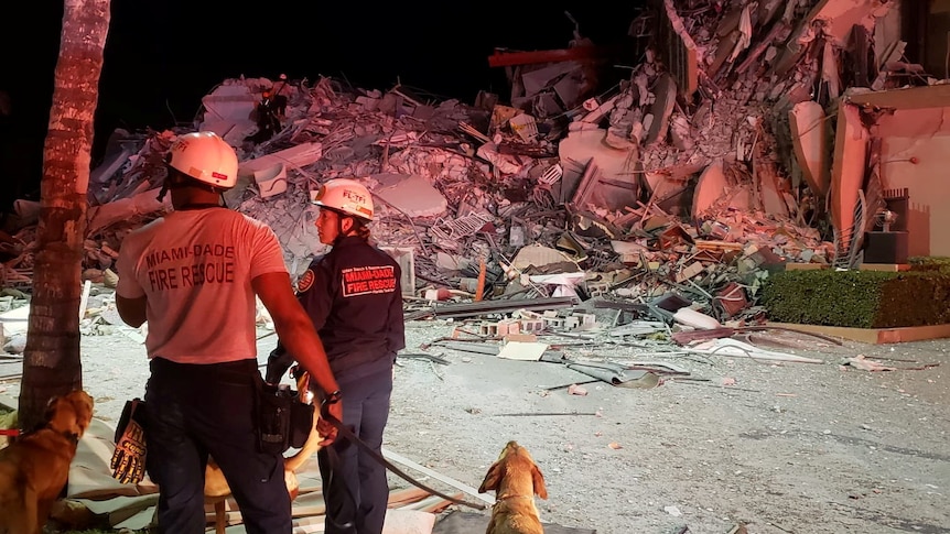 Rescue officers with dogs and rubble in the background.
