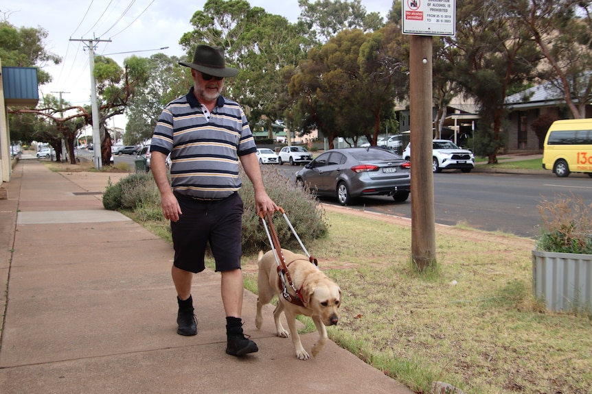 A man wearing a striped shirt, shorts, dark glasses and a hat walking down a street with a guide dog.