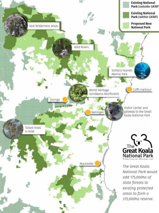 A map of a proposed conservation area for koalas in NSW.