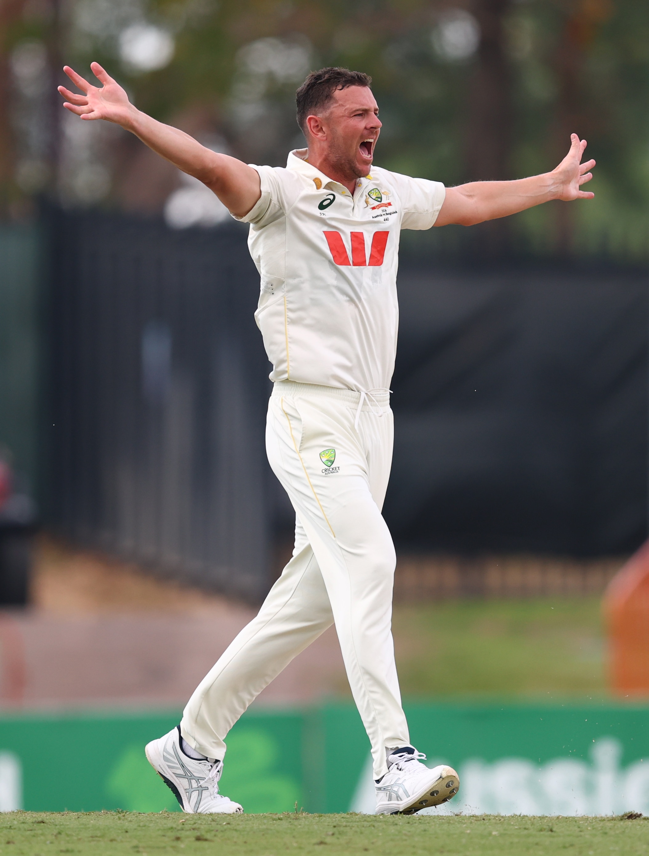 Live: Hazlewood gives Australia hope despite Bangladesh chasing just 57 runs to win