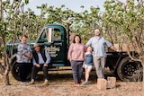 People people stand in front of an old style pick up.