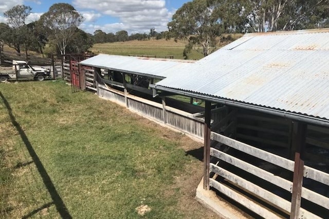 A cattle dip and yards on a Queensland property