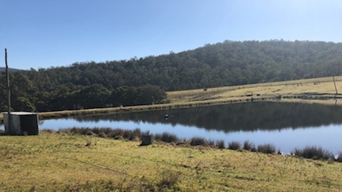 A dam with a grass paddock in the foreground and a hill with trees in the background.