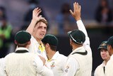 Cameron is high-fived and congratulated by his Australian Test cricket teammates after an Ashes wicket.