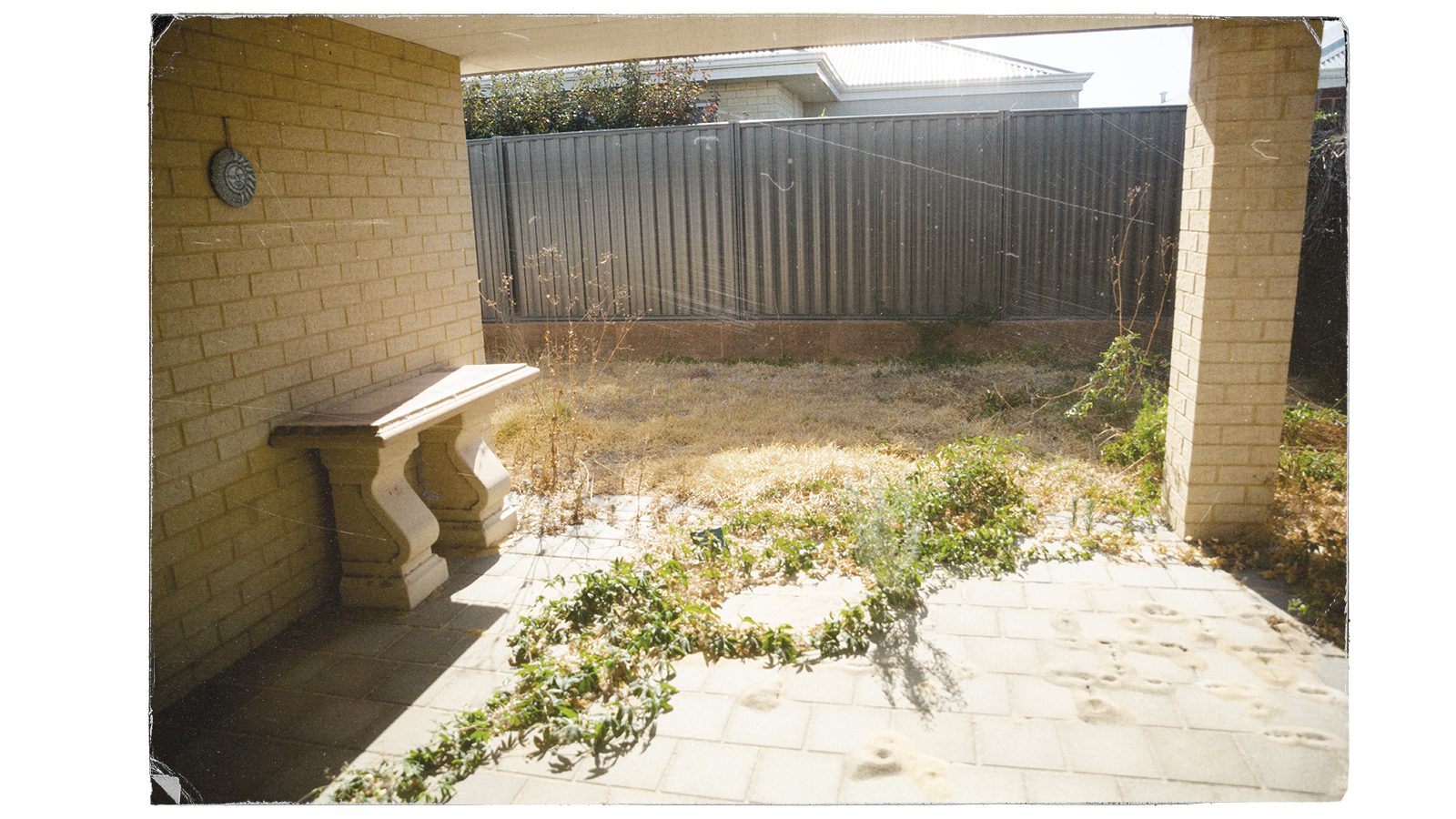 Dry, dead grass and weeds grow over pavement in Dan's backyard.