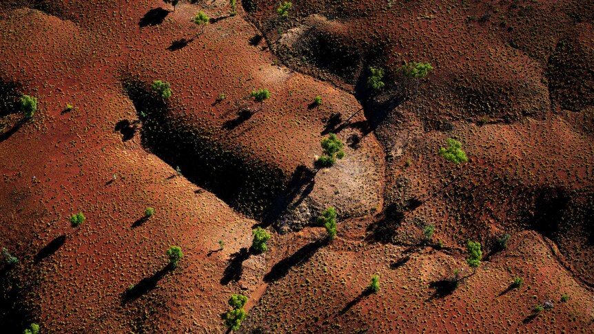 A view from the air of Margaret River Station