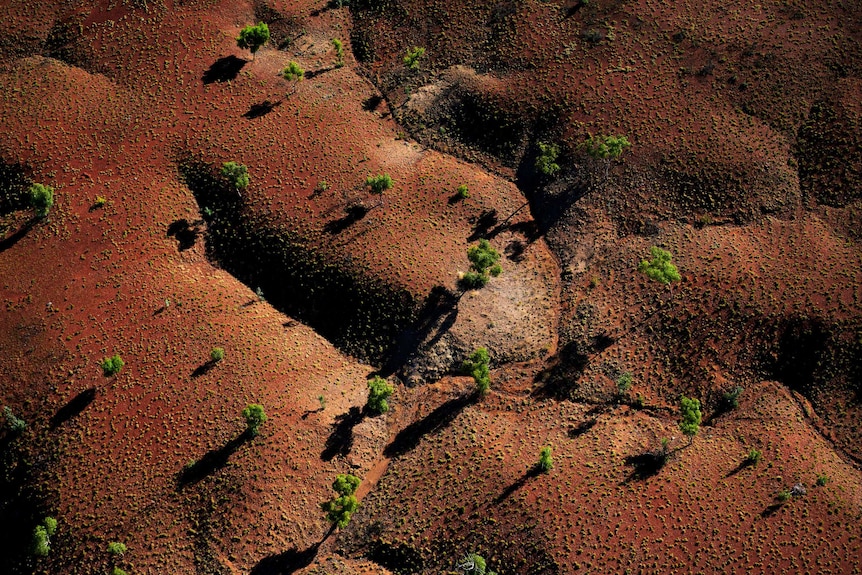 A view from the air of Margaret River Station