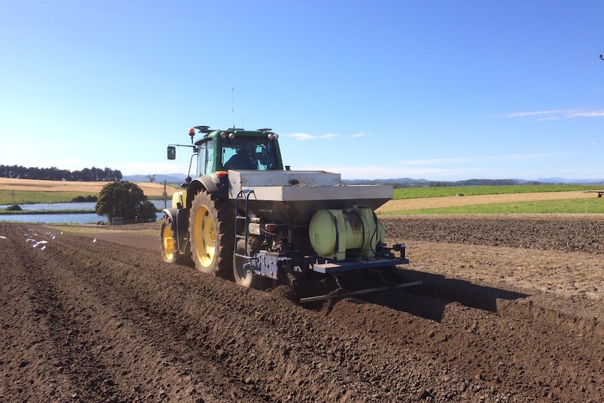 A tractor and plough in a potato field