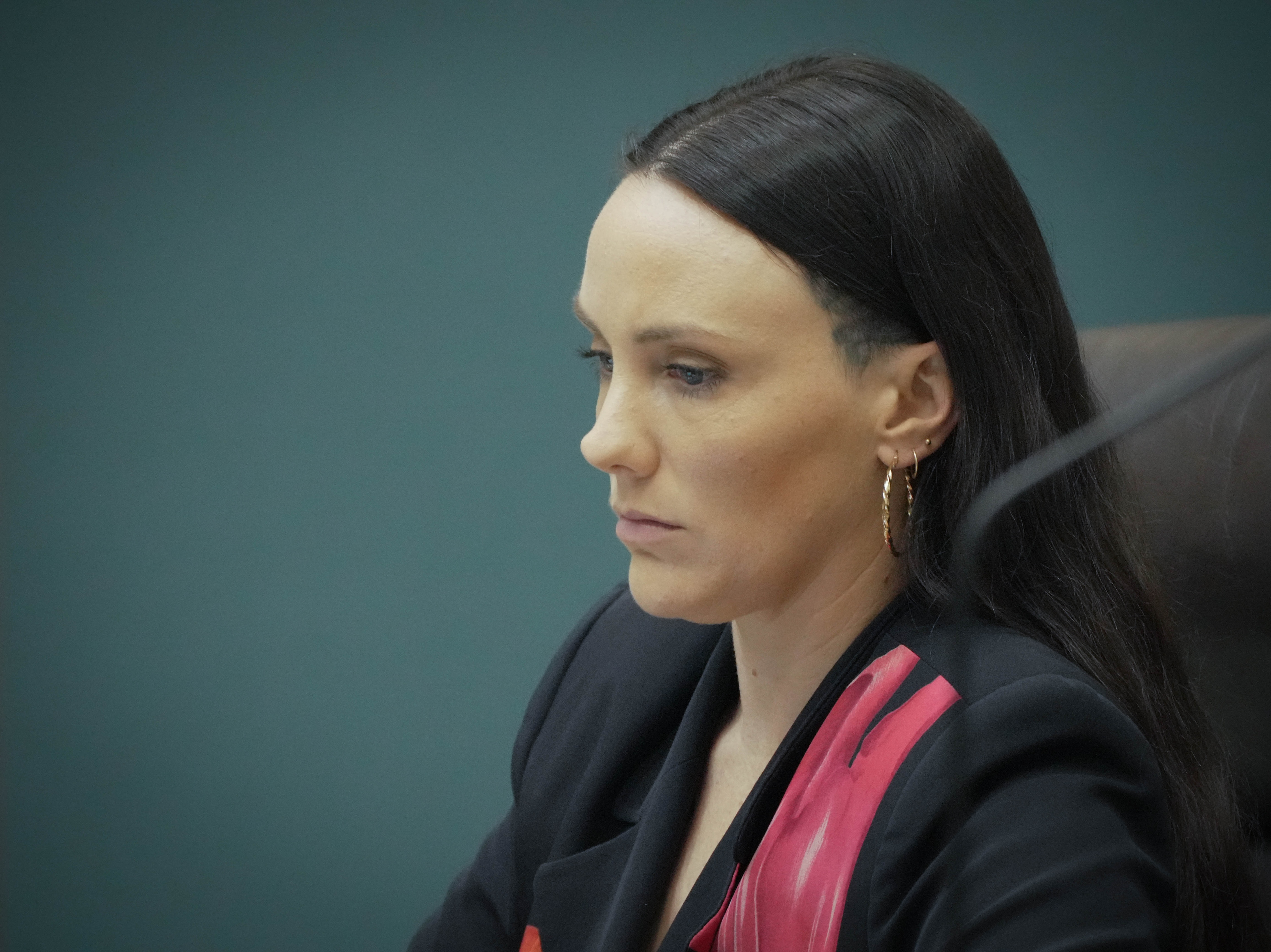 First Greens politician quits NT parliament 18 months after historic win