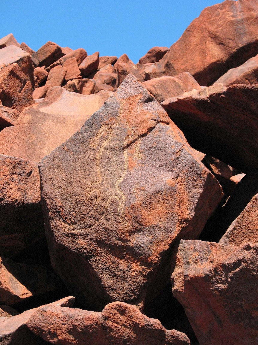 A rock engraving of a goanna