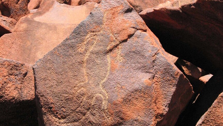 A rock engraving of a goanna