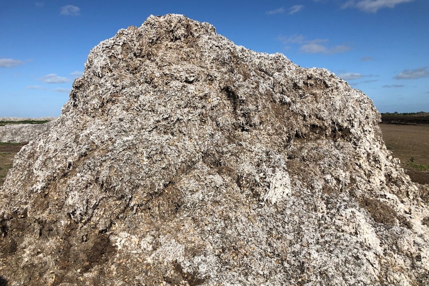 A mound of brown and white fluffy material.