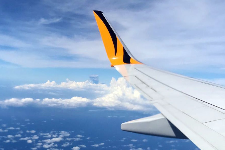 The tail of a Tigerair plane, with a volcanic ash cloud in the distance.