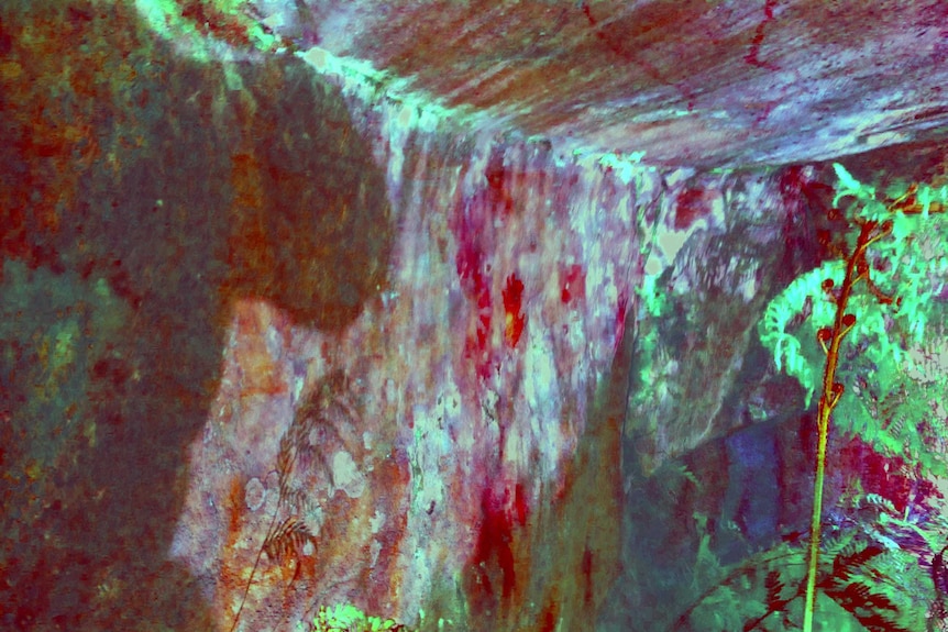 An enhanced photo of the ancient Aboriginal rock art site discovered in Sydney