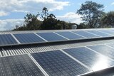 Rooftop solar growth could send WA power tariffs soaring: study