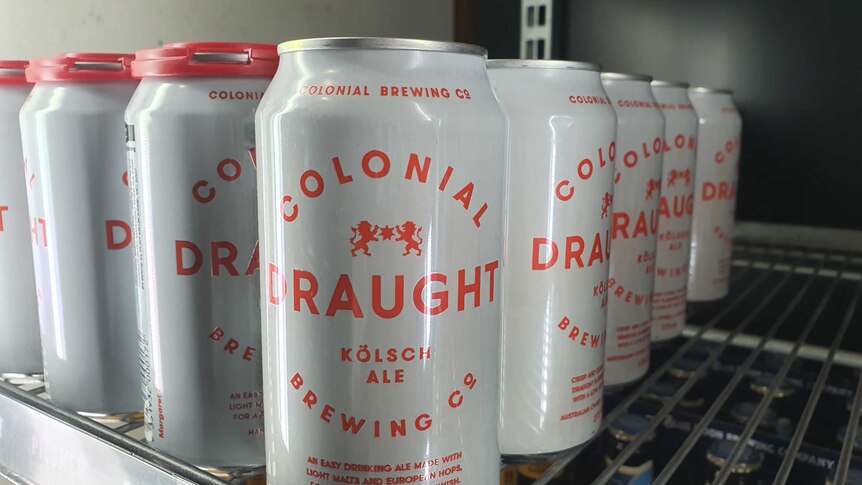 A six-pack of colonial brewing company beers on a shelf.