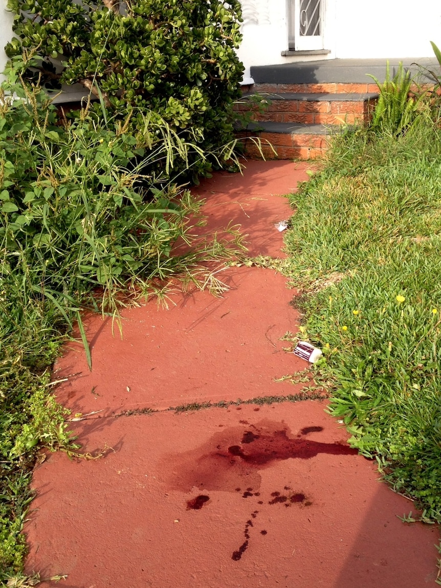 Blood stains the garden path of a house in Punchbowl after a shooting