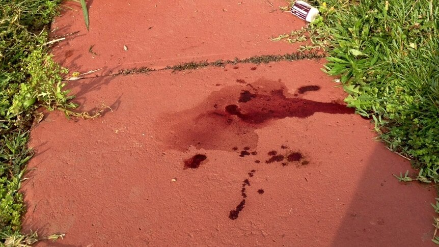Blood stains the garden path of a house in Punchbowl after a shooting