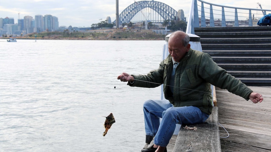 Not every spot in Sydney Harbour is safe to catch and eat fish according to the Sydney Institute of Marine Science.