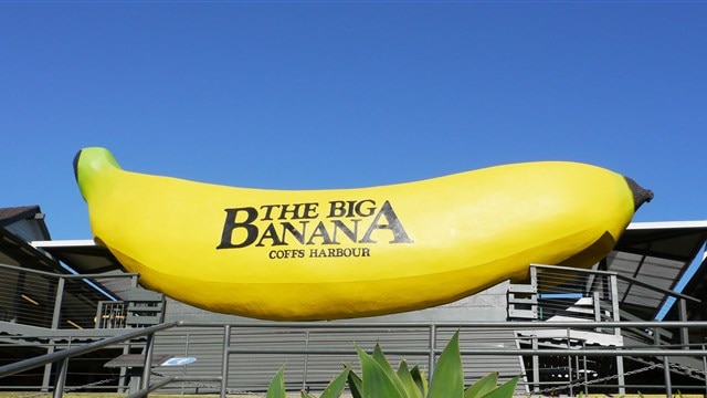 The Big Banana at Coffs Harbour.