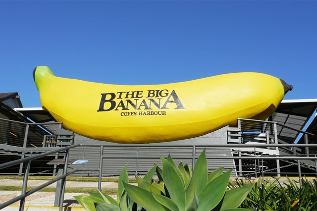 The Big Banana at Coffs Harbour.