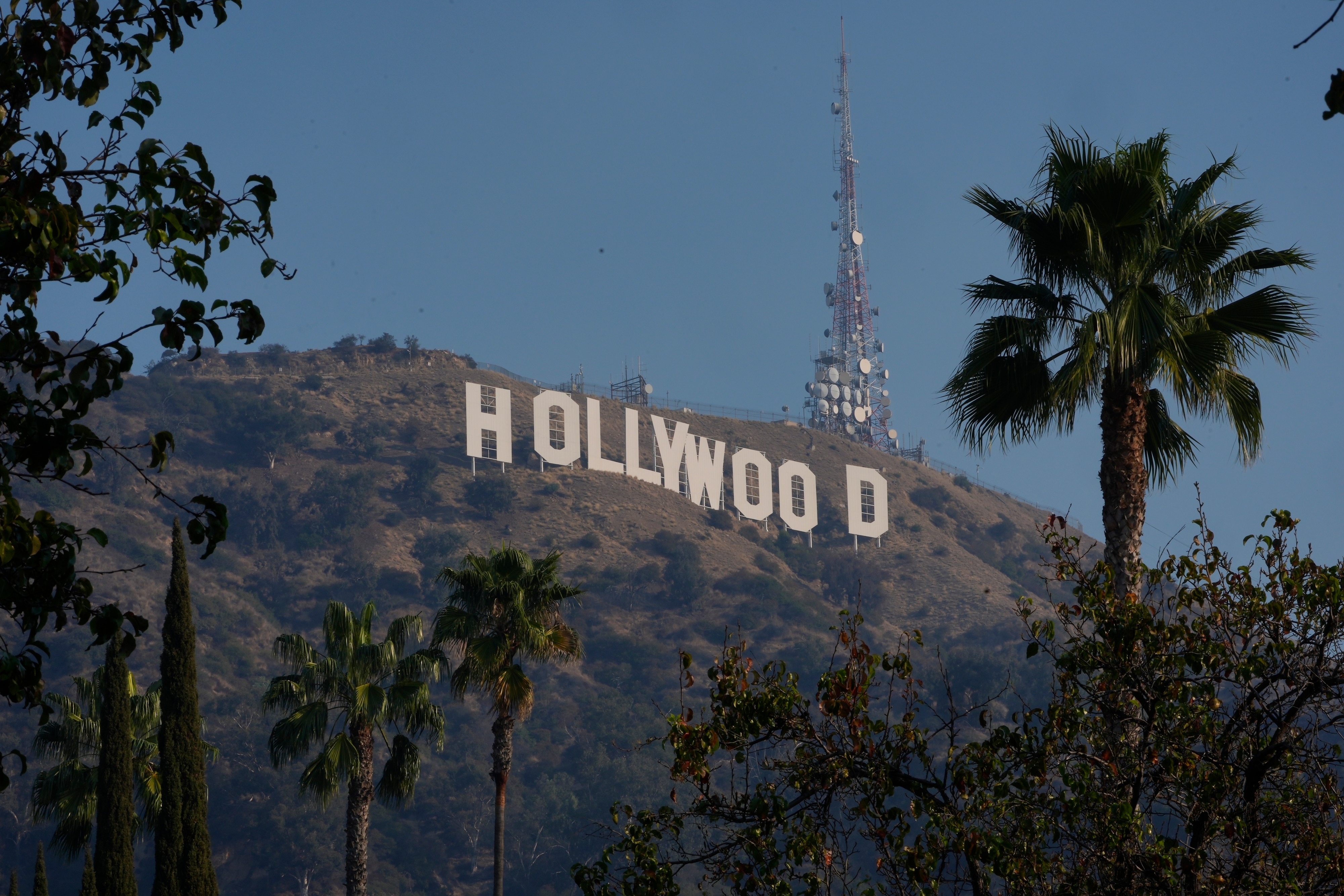 The white Hollywood sign seen through the tops of palm trees on a brown hill next to a tall telecommunications tower.