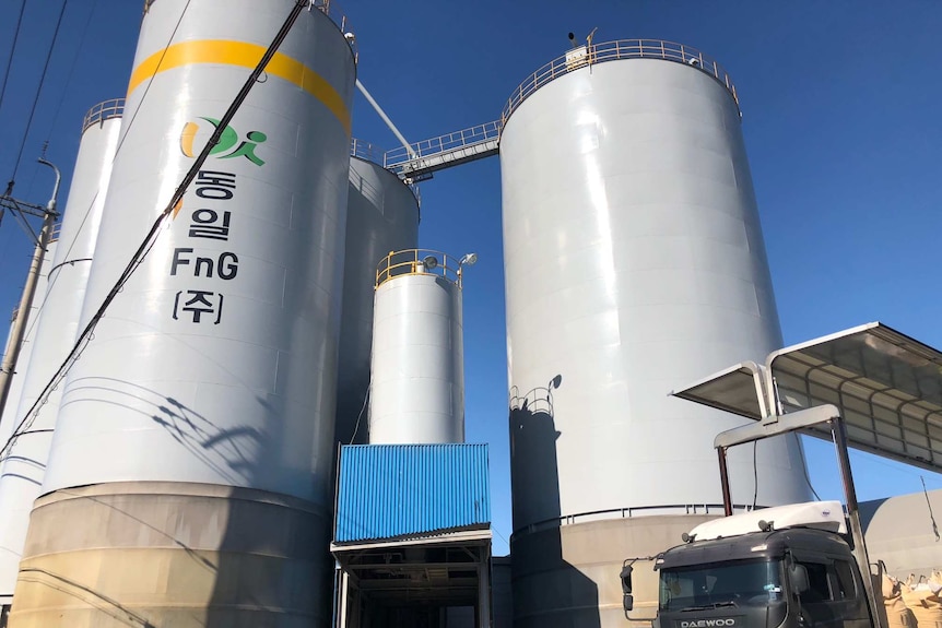 Truck loading grain next to silos in Korea