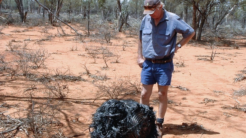 A man in farm work clothes in the bush stares intently at a large ball-shaped lump of blackened space junk 