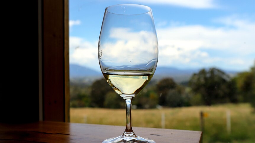 Wine glass with white wine sits on wooden table with country scene in background