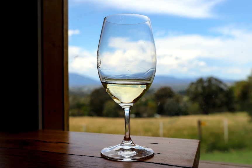 Wine glass with white wine sits on wooden table with country scene in background