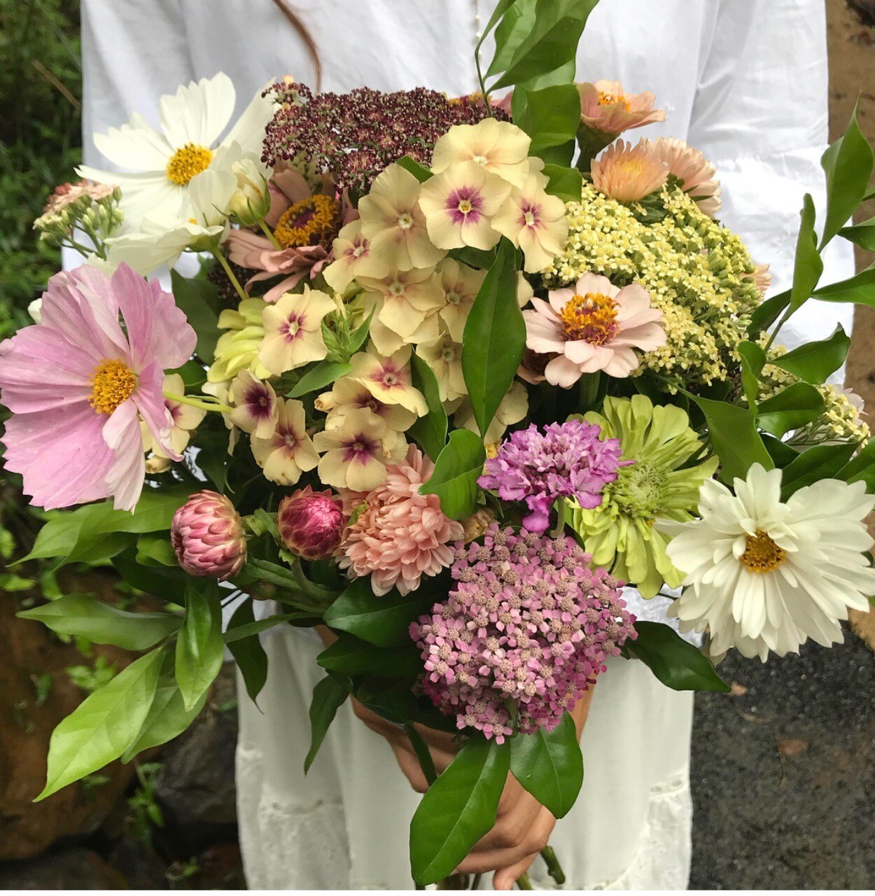 Australian slow flower movement blooming fast as consumers catch on to