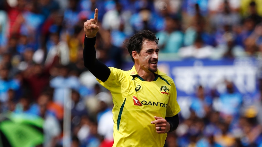 Mitch Starc celebrates with his hand in the air