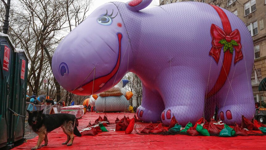 Police dog waits by hippo balloon