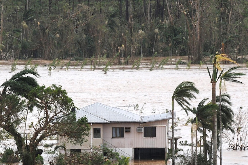 A banana plantation inundated with floodwaters is destroyed south of Innisfail, North Queensland, Thursday, February 3, 2011.