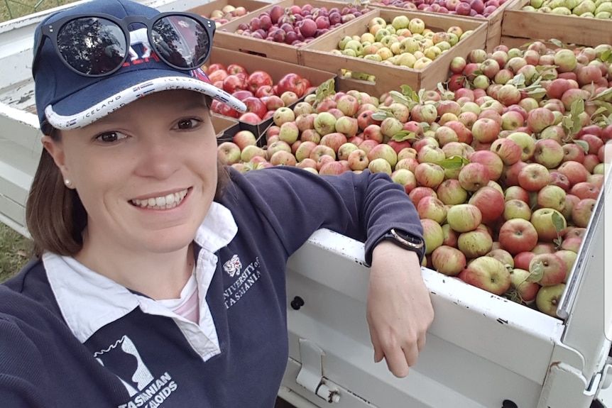 A woman in a 'University of Tasmania' jersey and cap leans on a ute tray full of apples.