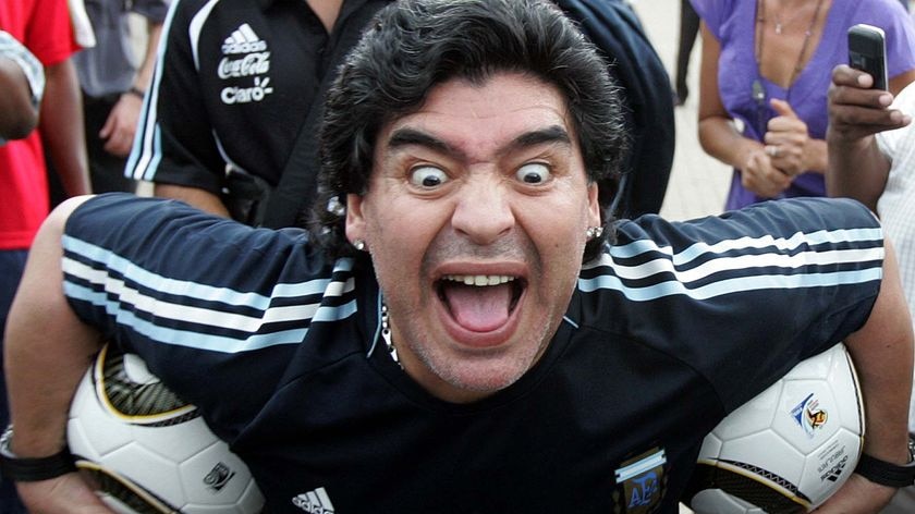 Maradona says Pele should 'go back to the museum' and that Platini 'thinks he knows it all'.
