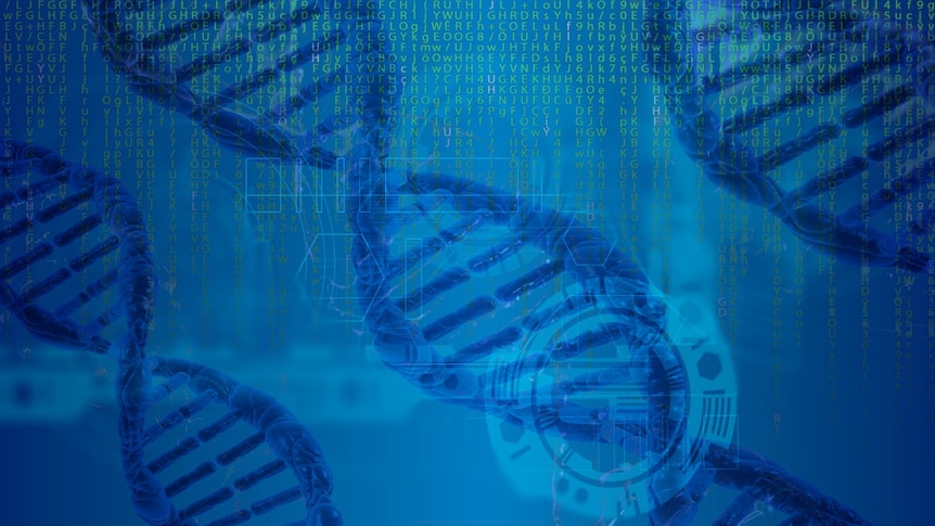 magnified strands of DNA