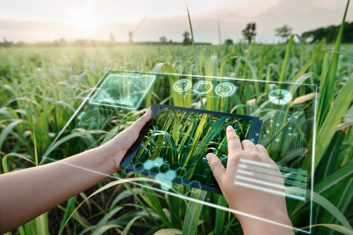 Technology Smart Farming and Innovation Agricultural Concepts.