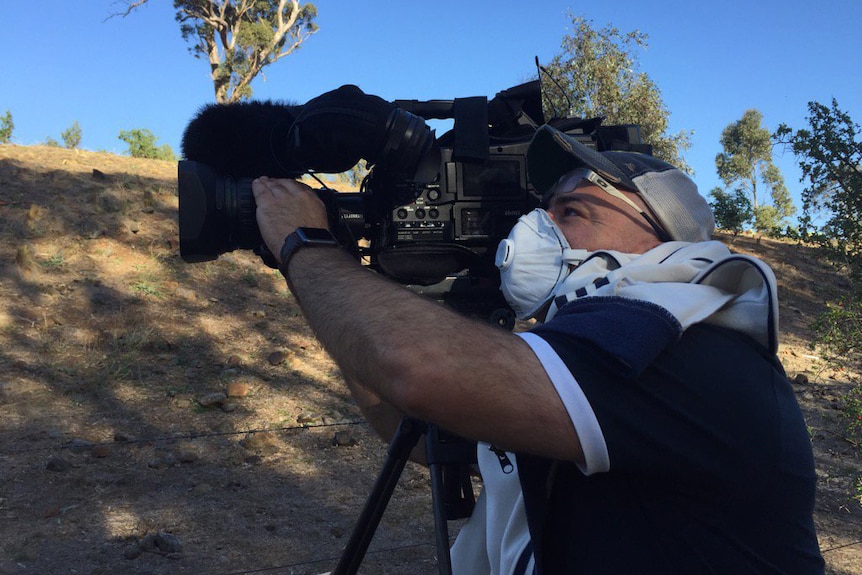 Camera operator at property where dead horses found