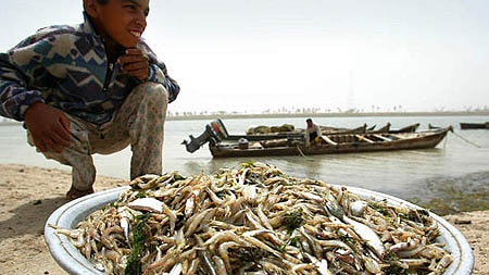 Young Iraqi fisherman displays his catch