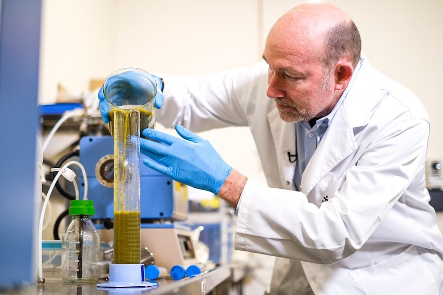 a man in a white lab coat checking green sludgy liquid in a long flask