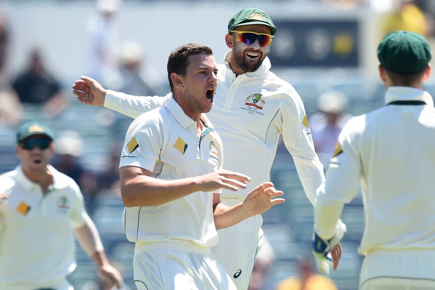 Australia's Josh Hazlewood celebrates the wicket of South Africa's Hashim Amla at the WACA