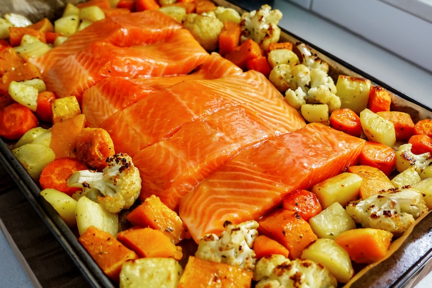 Six salmon fillets on a baking tray surrounded by roasted potatoes, carrots, cauliflower and pumpkin.