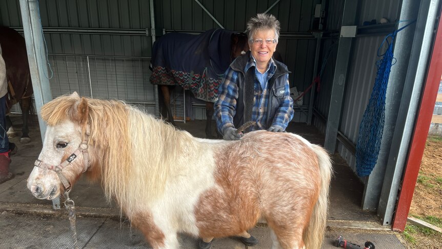 Woman with short, grey hair, standing behind a tiny tan and white pony. 