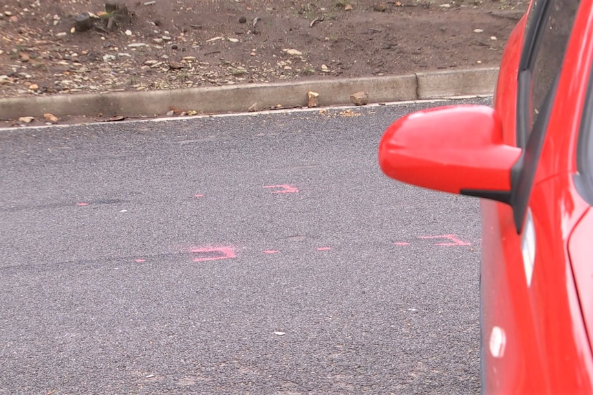 Paint markings on a road.