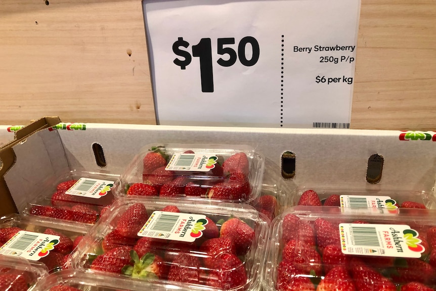 Strawberries for sale $1.50 for 250 grams