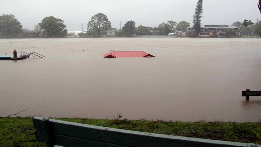 The swollen Tweed River swamps Nicholl Park in Murwillumbah.