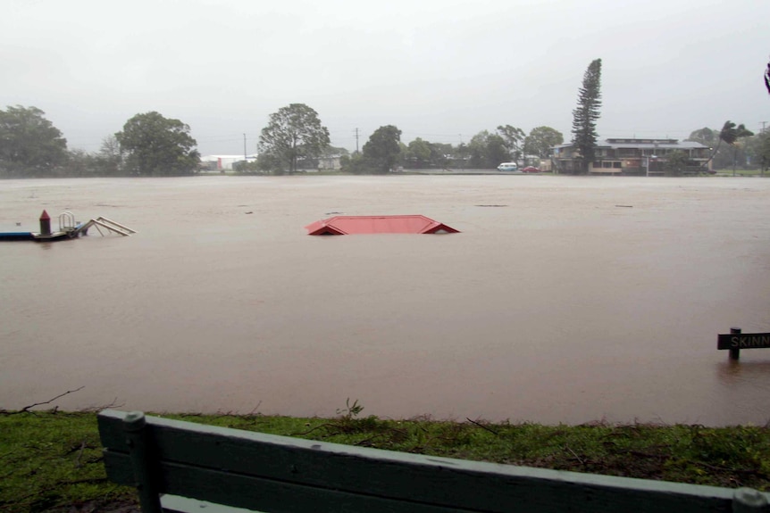 The swollen Tweed River swamps Nicholl Park in Murwillumbah.